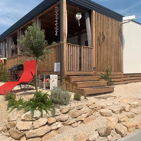 Hollers Homes Haus Oli