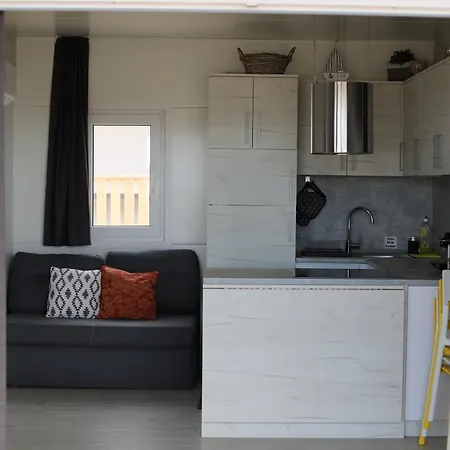 Hollers Homes Haus Oli *